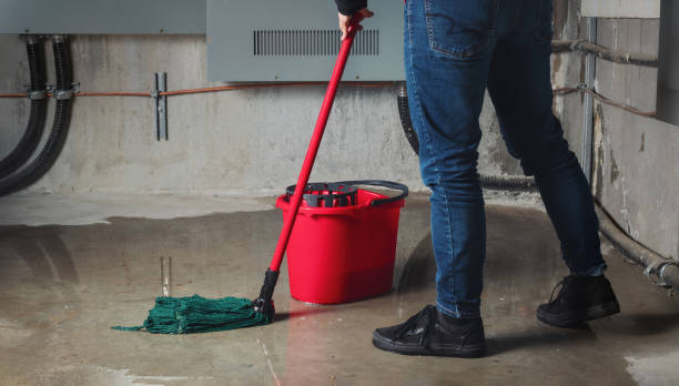 Best Water damage cleanup near me  in Hansen, ID