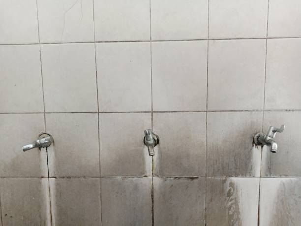 Best Mold removal after water damage  in Hansen, ID